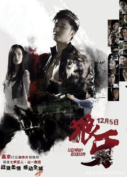 《狼牙》全集在线观看,揭秘特种兵的生死较量与铁血忠诚